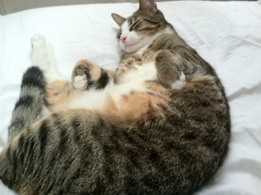 开云-当欧冠淘汰赛上演绝杀时，杜兰特正在另一个赛场诠释什么叫杀手本色