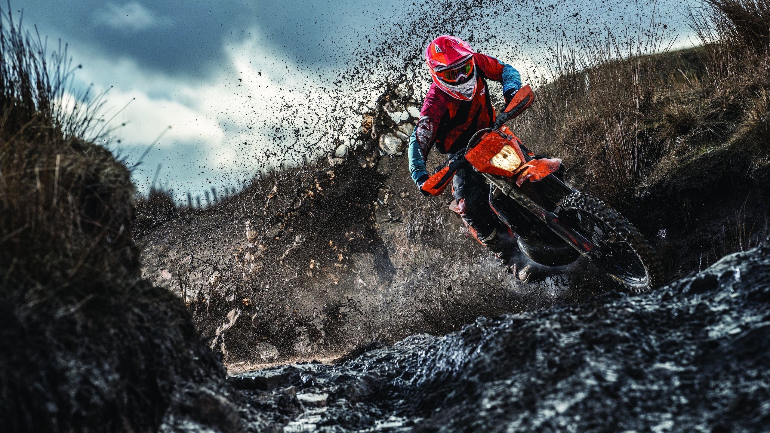 霍勒迪死了1203次？绝杀火箭背后藏着当代运动员终极解法